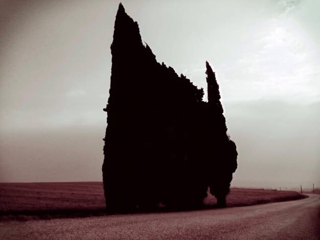 Elden Ring: Shadow of the Erdtree – A Deep Dive into the Land of Shadow