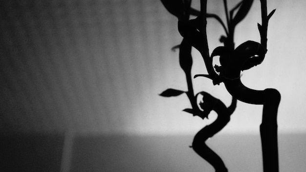 A detailed screenshot of one of the new enemy types in Shadow of the Erdtree. The enemy is a towering, grotesque creature with multiple limbs and glowing eyes, engaged in a fierce battle with the player character.