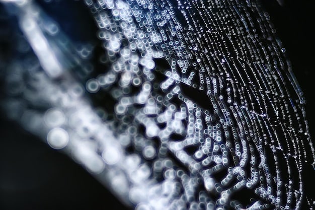 A close-up shot of a high-end graphics card with intricate details, showcasing advanced cooling systems and ray tracing capabilities.